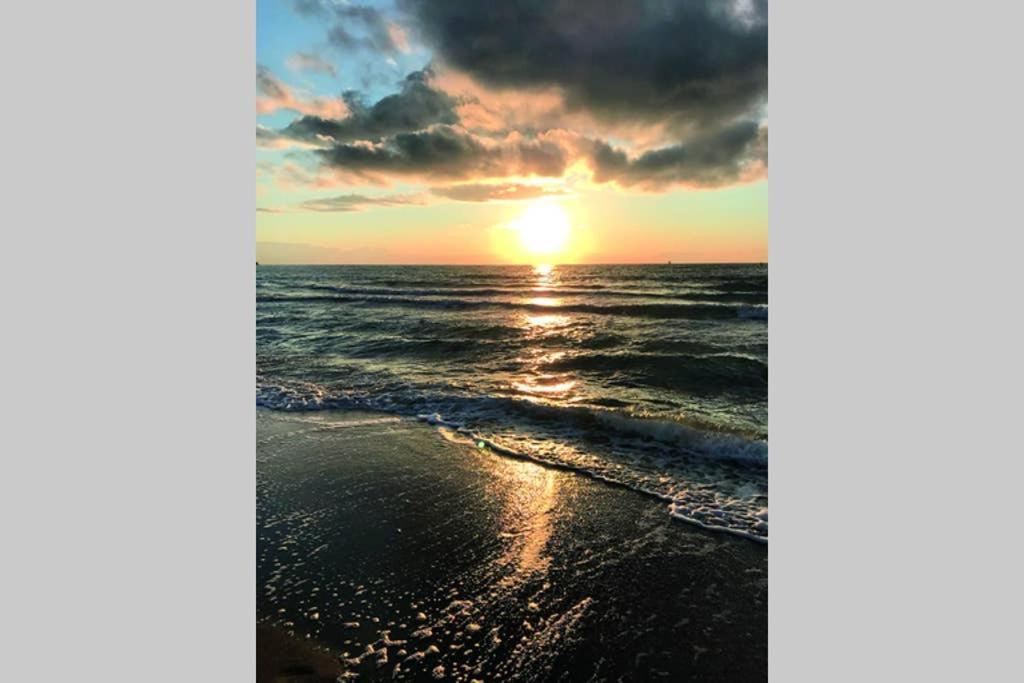 Ostsee-Ferienwohnung Uhlnuest Graal-Mueritz Gelbensande Екстер'єр фото