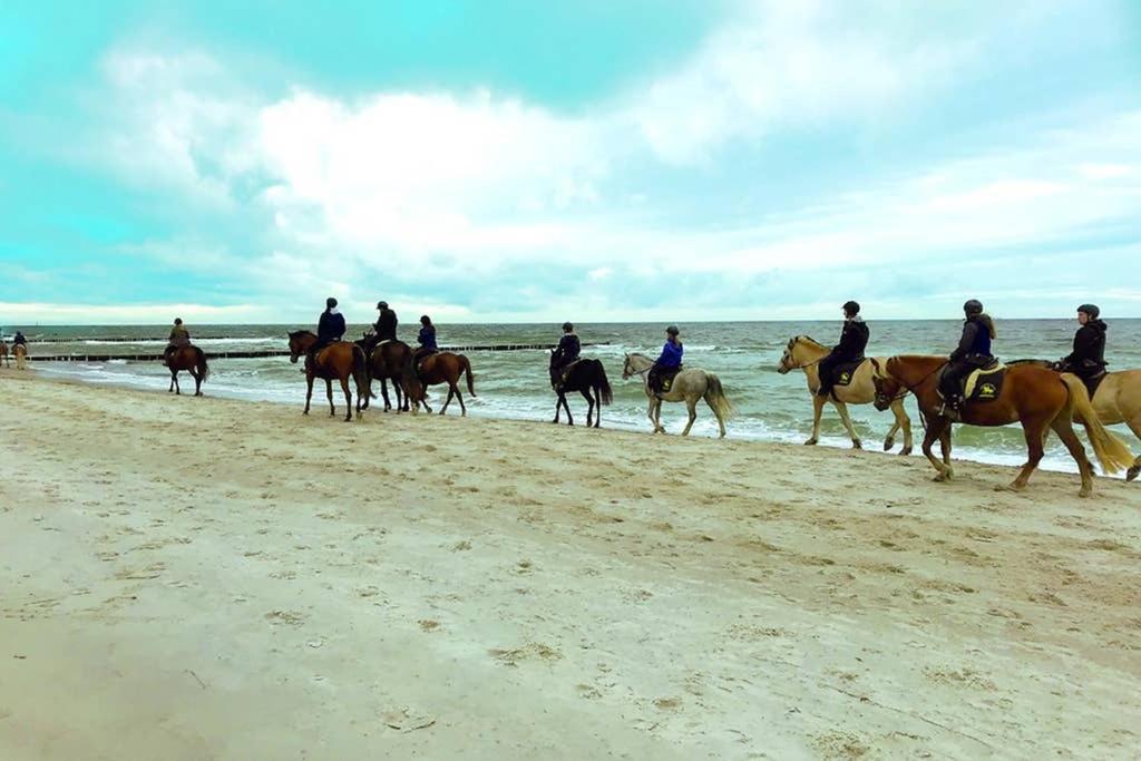 Ostsee-Ferienwohnung Uhlnuest Graal-Mueritz Gelbensande Екстер'єр фото