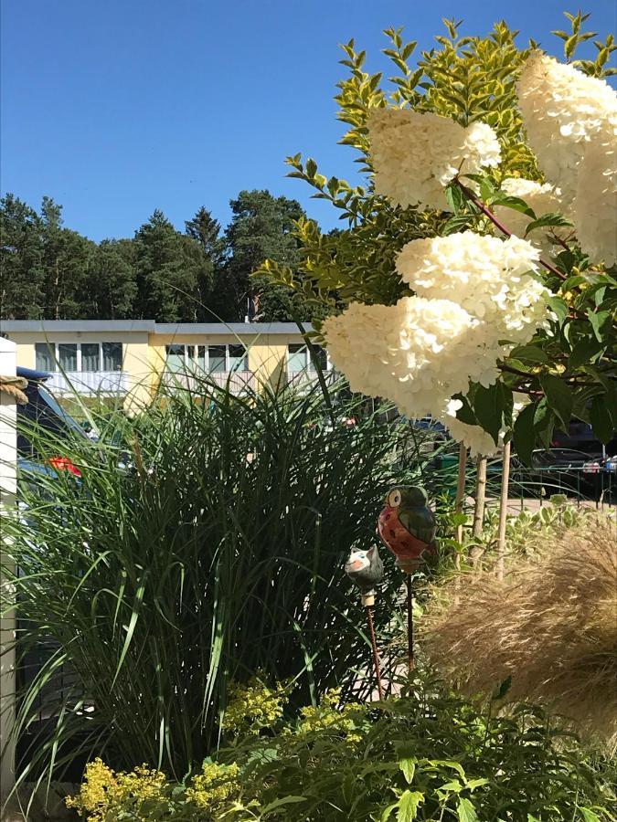 Ostsee-Ferienwohnung Uhlnuest Graal-Mueritz Gelbensande Екстер'єр фото